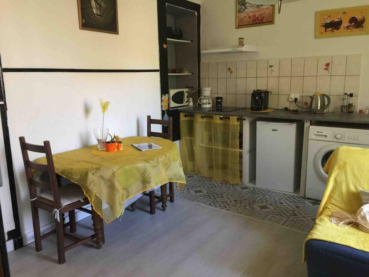 Appartamento Au Bonheur De Lili Fontaine-de-Vaucluse Esterno foto